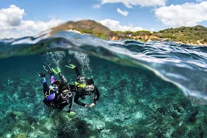 Big Blue Diving image