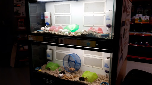 Pet Supply Store «Petco Animal Supplies», reviews and photos, 7721 Mentor Ave, Mentor, OH 44060, USA