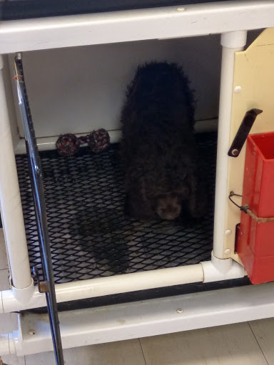 Pet Supply Store «Pet Shop», reviews and photos, 1833 S 10th St, Independence, KS 67301, USA