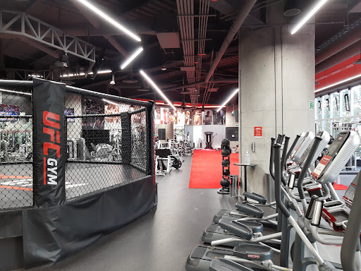 Martial arts gyms in Mexico City