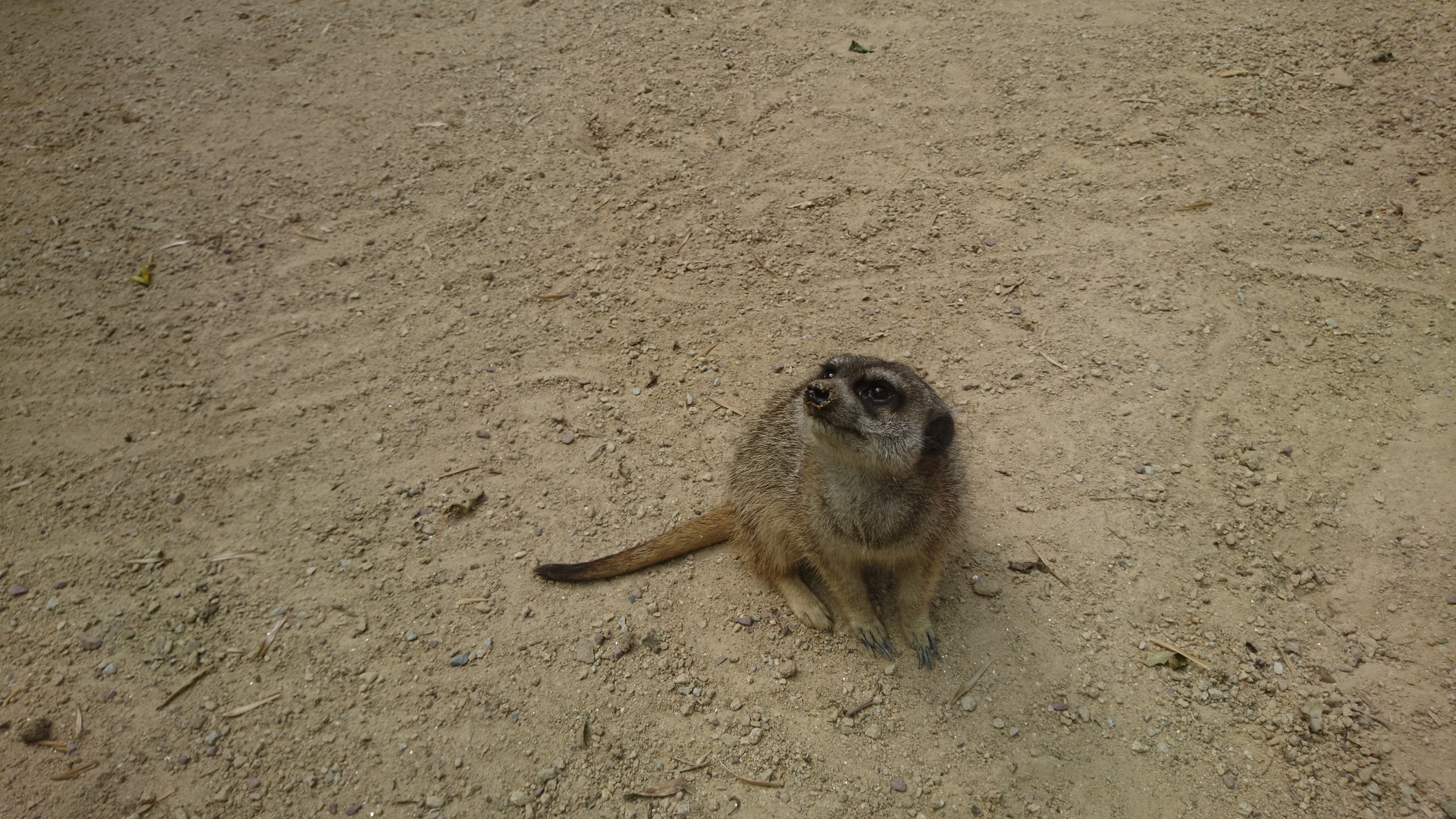 Photo n° 25 de l'avis de Philippe.e fait le 07/08/2017 à 14:04