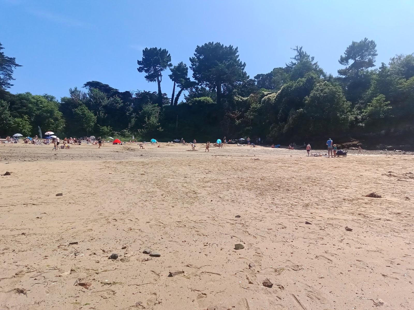 Plage de Roc'h Hir photo #6