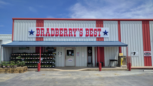 Bradberry's Best