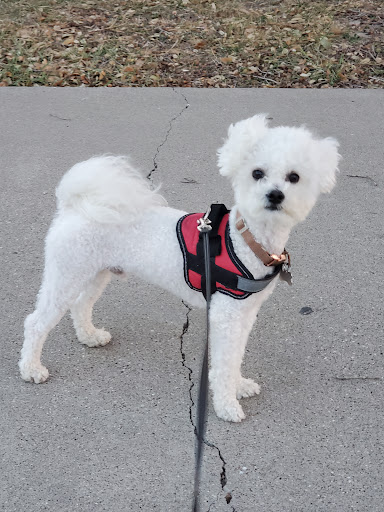 Pet Supply Store «PetSmart», reviews and photos, 5214 Blanche Moore Dr, Corpus Christi, TX 78411, USA