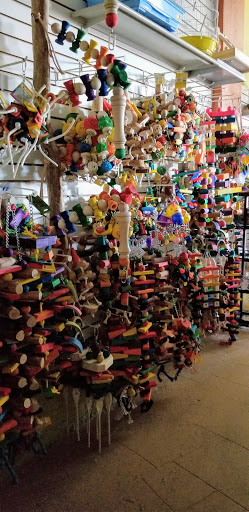 Bird Shop «The Aviary at Cauley Square», reviews and photos, 22400 Old Dixie Hwy, Miami, FL 33170, USA