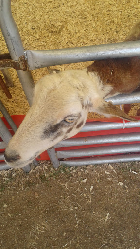 Tourist Attraction «Myrtle Beach Speedway», reviews and photos, 455 Hospitality Ln, Myrtle Beach, SC 29579, USA