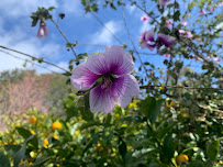 Earthscape Photography - Photo 3 - Car repair in , Santa Cruz