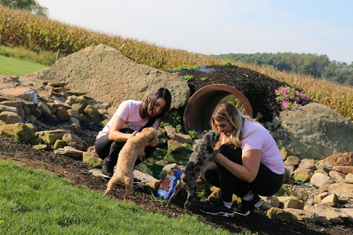 Pet Store «Furry Babies Inc», reviews and photos, 3340 Mall Loop Dr, Joliet, IL 60431, USA