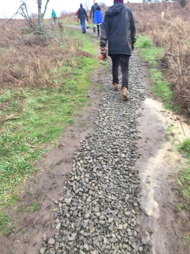 Park «Powell Butte Nature Park», reviews and photos, 16160 SE Powell Blvd, Portland, OR 97236, USA