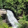 Swallow Falls State Park