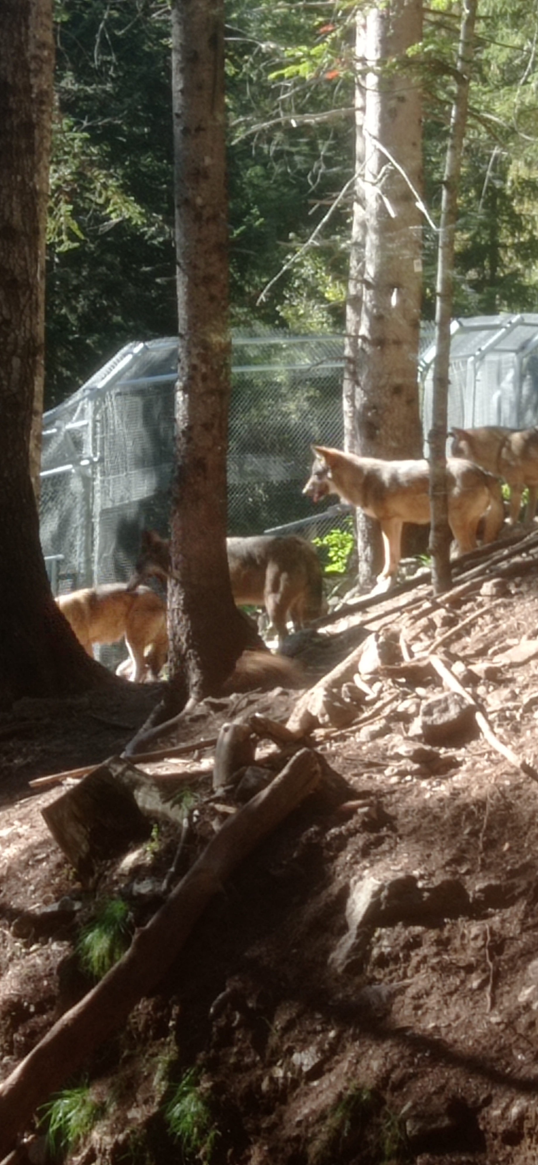 Photo n° 8 de l'avis de Cyril.A fait le 01/10/2022 à 19:11