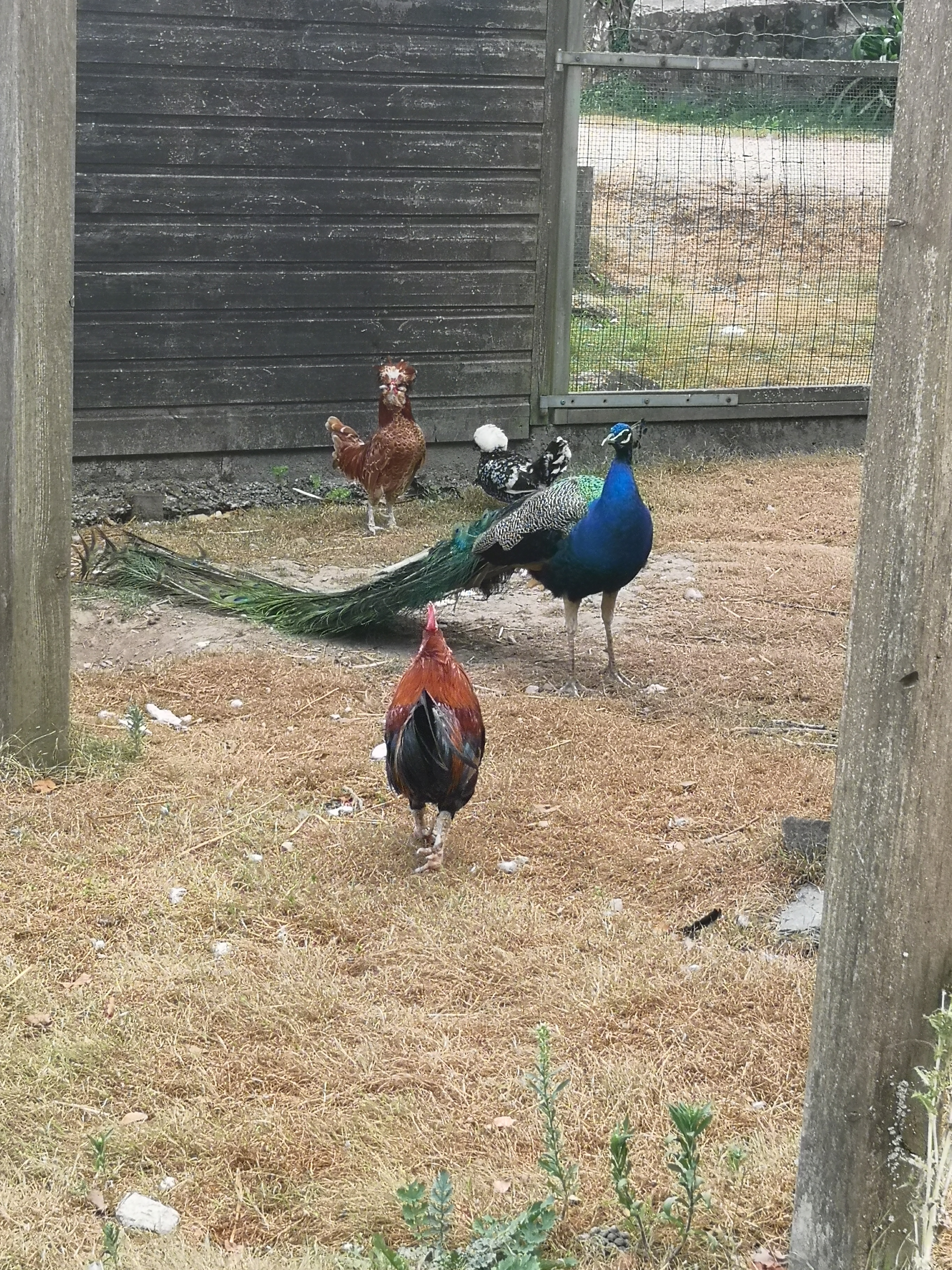 Photo n° 1 de l'avis de Véronique.a fait le 29/07/2022 à 21:37