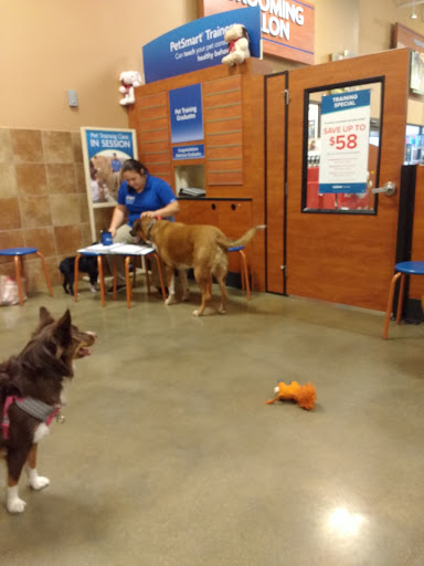 Pet Supply Store «PetSmart», reviews and photos, 104 Dettro Dr, Mattoon, IL 61938, USA