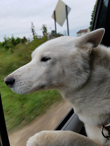 Winery «Cherry Creek Winery», reviews and photos, 11500 Silver Lake Hwy, Brooklyn, MI 49230, USA