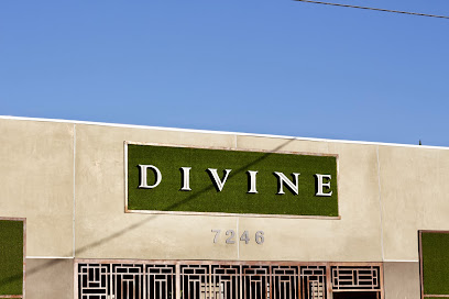 Divine Wellness Center