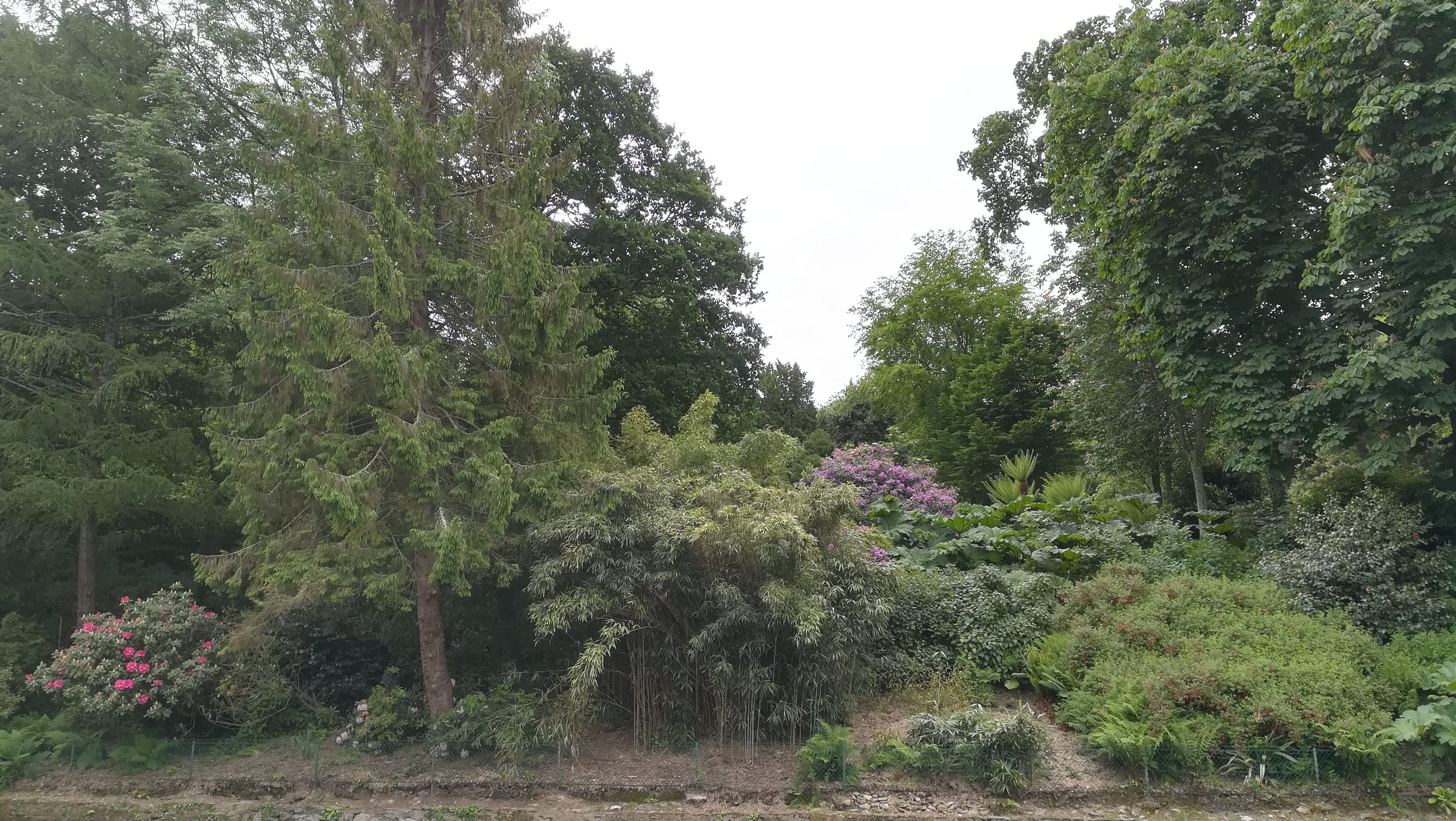 Photo n° 12 de l'avis de michael.o fait le 01/06/2019 à 15:56