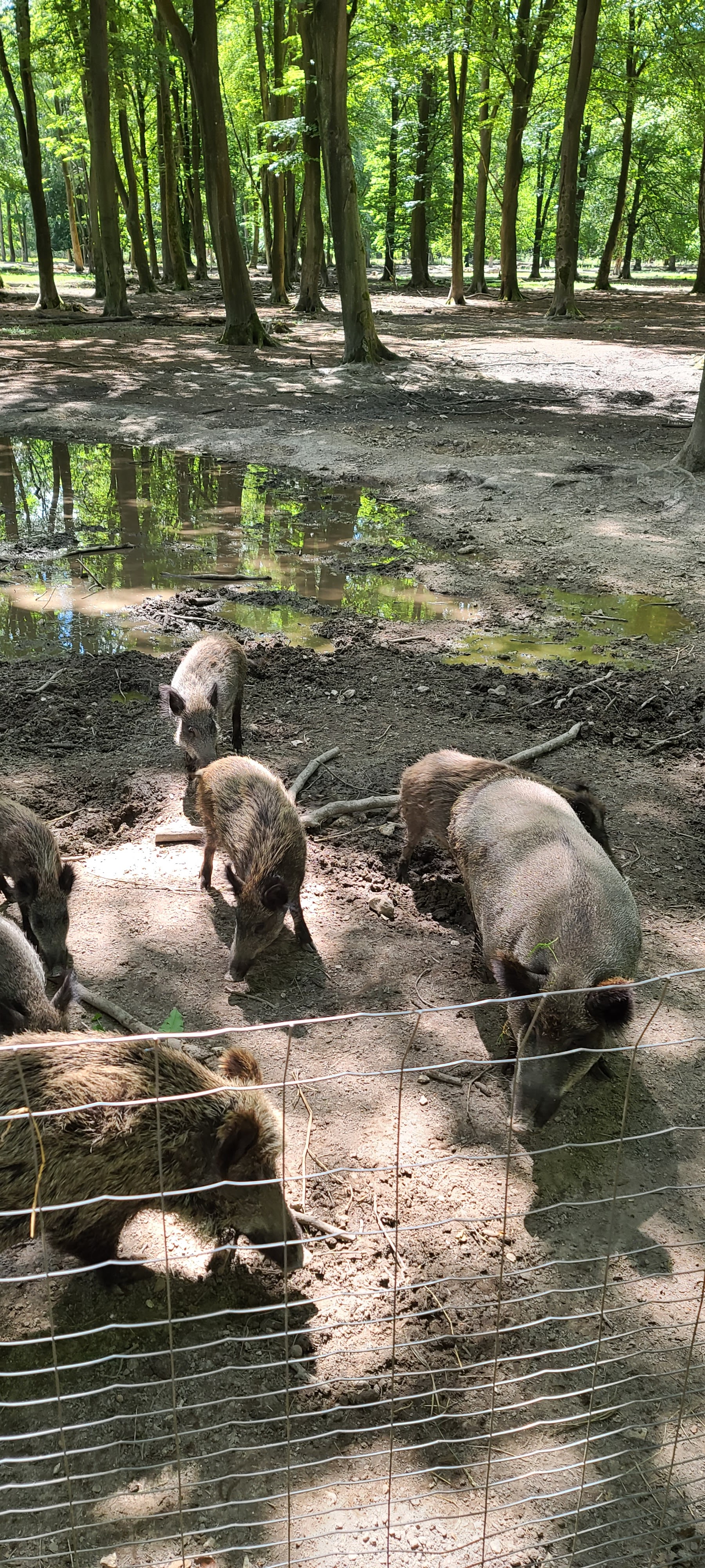 Photo n° 7 de l'avis de Pierre.o fait le 03/07/2022 à 19:43