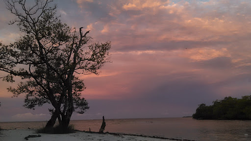 Nature Preserve «San Carlos Bay - Bunche Beach Preserve», reviews and photos, 18201 John Morris Rd, Fort Myers, FL 33908, USA