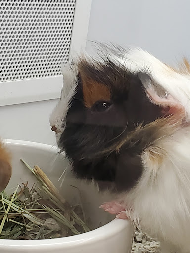 Pet Supply Store «Petco Animal Supplies», reviews and photos, 179 N Milwaukee St, Boise, ID 83704, USA