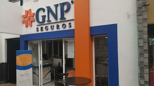 Grupo Sicari-Seguros GNP