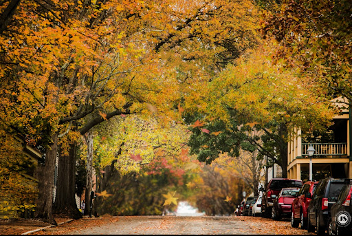 Museum «Old Salem-Visitor Center», reviews and photos, 900 Old Salem Rd, Winston-Salem, NC 27101, USA