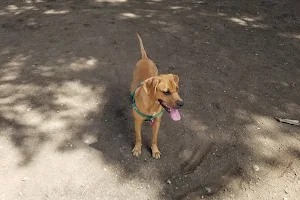 Danbrook Park and Off-Leash Area image