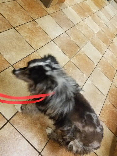 Pet Supply Store «PetSmart», reviews and photos, 12741 Towne Center Dr, Cerritos, CA 90703, USA