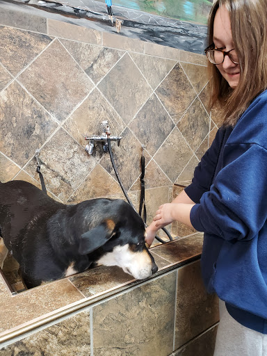 Pet Supply Store «Pet Valu», reviews and photos, 1024 Lititz Pike, Lititz, PA 17543, USA