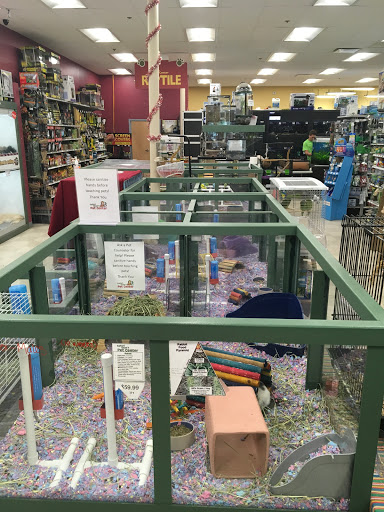 Pet Supply Store «Safari Stans Pet Center», reviews and photos, 142 Amity Rd, New Haven, CT 06515, USA