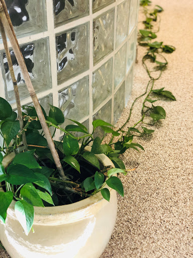 Personal Injury Attorney «The Law Office of Kenneth Namnoum Jr.», reviews and photos