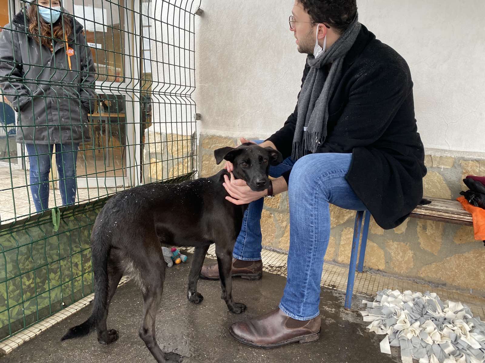 Photo n° 4 de l'avis de Thomas.r fait le 31/03/2022 à 20:11