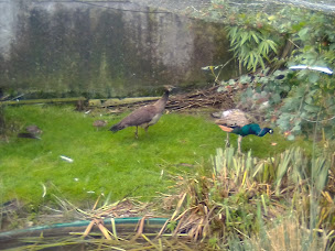 Photo n°8 de Paradis aquatique à Douvrend ()