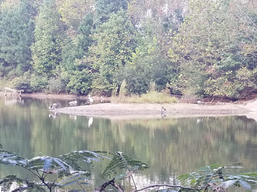 Park «Big Creek Park», reviews and photos, 1600 Old Alabama Rd, Roswell, GA 30076, USA