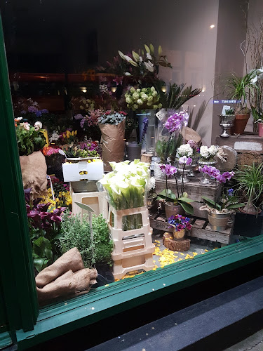 Reviews of Flowers of Islington in London - Florist