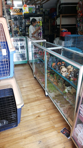 Opiniones de MascotaModa Pet shop Ecuador en Quito - Tienda