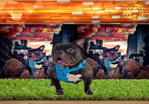 Pet Supply Store «Marvin Grain & Pet Supply», reviews and photos, 31 Cove Rd, South Dartmouth, MA 02748, USA