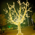 Photo n°1 de l'avis de Cla.r fait le 27/05/2023 à 17:09 sur le  Restaurant @ Birreria Tesoretto à Poggiardo