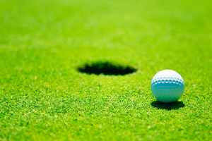 Montclair Golf Enterprises image