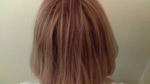 Hair Salon «Studio Cabello Aveda», reviews and photos, 245 E Davis Blvd, Tampa, FL 33606, USA