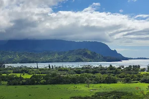 Kauai image