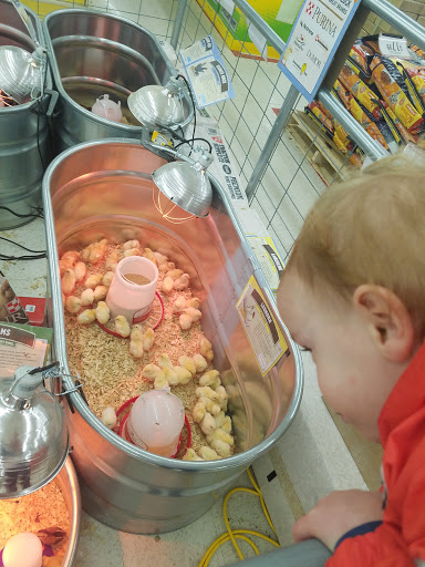 Hardware Store «Tractor Supply Co.», reviews and photos, 799 State St #40, Pottstown, PA 19464, USA