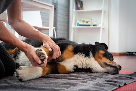 Canis Mobilis - Hundephysiotherapie und Osteopathie