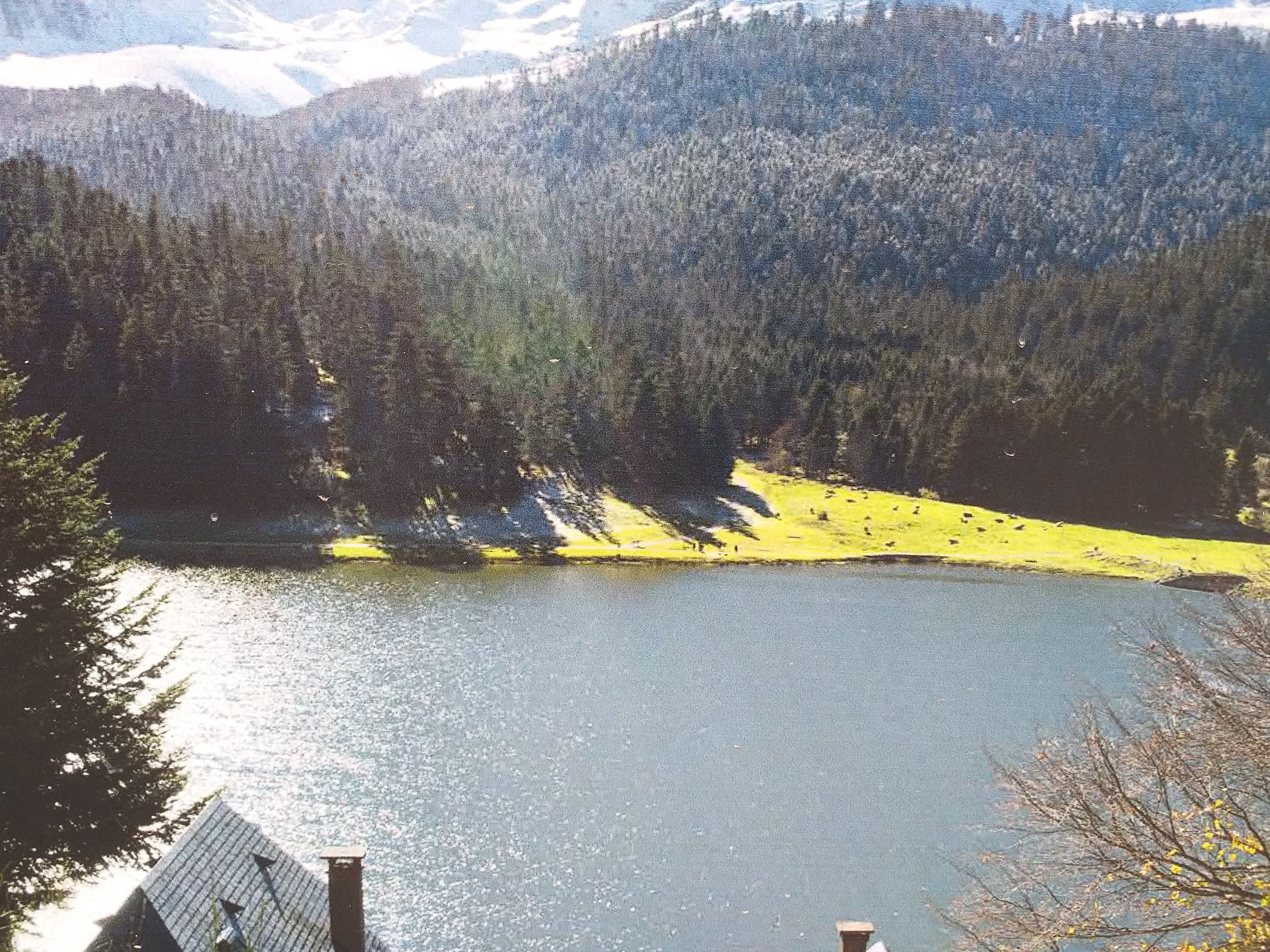 Photo n° 2 de l'avis de Christian.l fait le 30/07/2019 à 14:18
