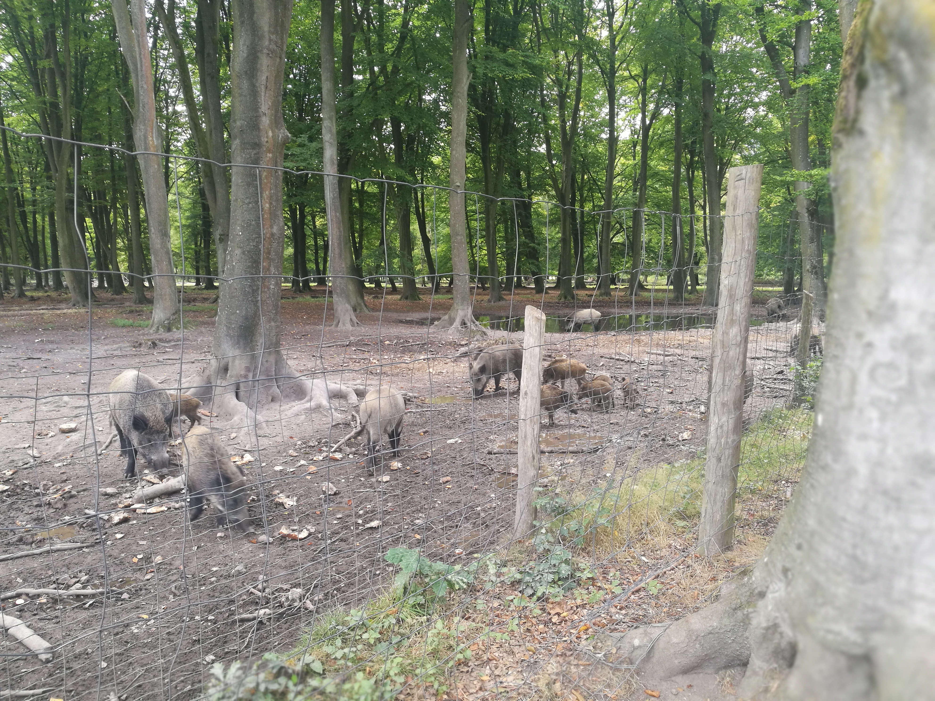 Photo n° 2 de l'avis de mlk. fait le 12/09/2023 à 18:31