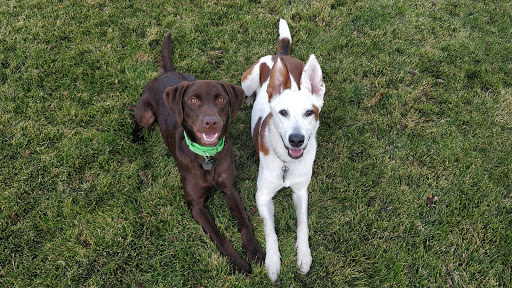 Vetco Total Care Animal Hospital image