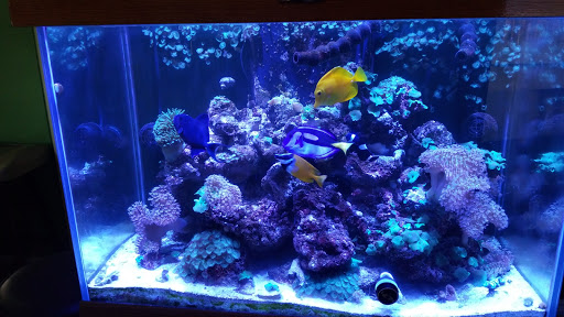 Tropical Fish Store «Delta Pet Center LLC», reviews and photos, 1370 Corporate Square Blvd, Slidell, LA 70458, USA