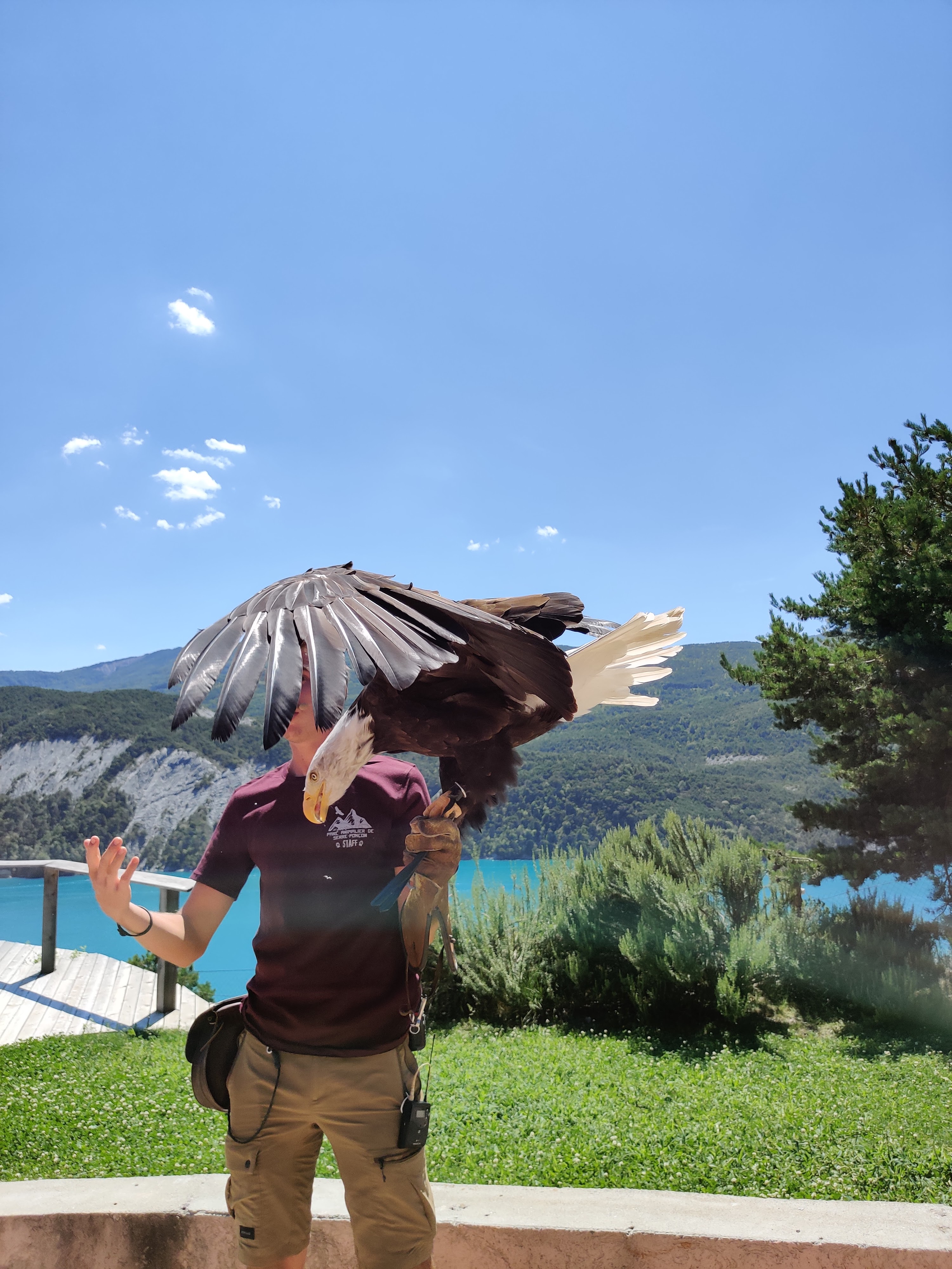 Photo n° 3 de l'avis de Julien.o fait le 14/08/2020 à 12:49