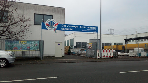 Prachtfinken- und Koi-Zentrum unter Rösrath, 