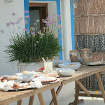 Photo n°2 de l'avis de Anto. fait le 31/07/2022 à 14:08 sur le  Pelaghea à Linosa