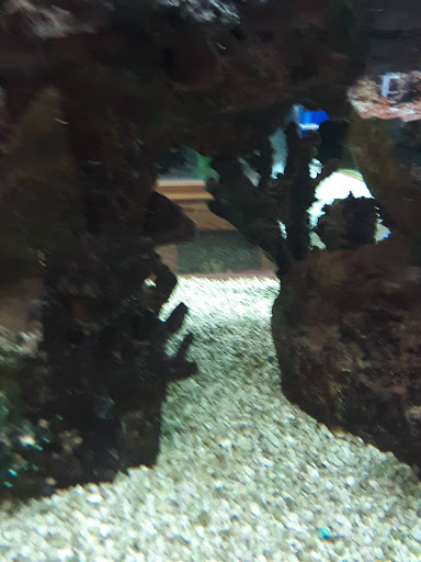 Pet Store «The Pet Zone», reviews and photos, 20 W Oak St, Pittston, PA 18640, USA